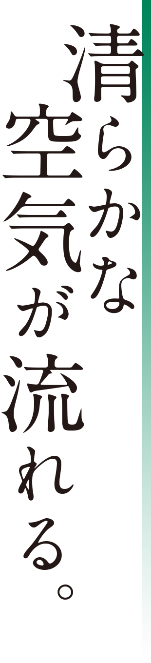 清らかな空気が流れる。