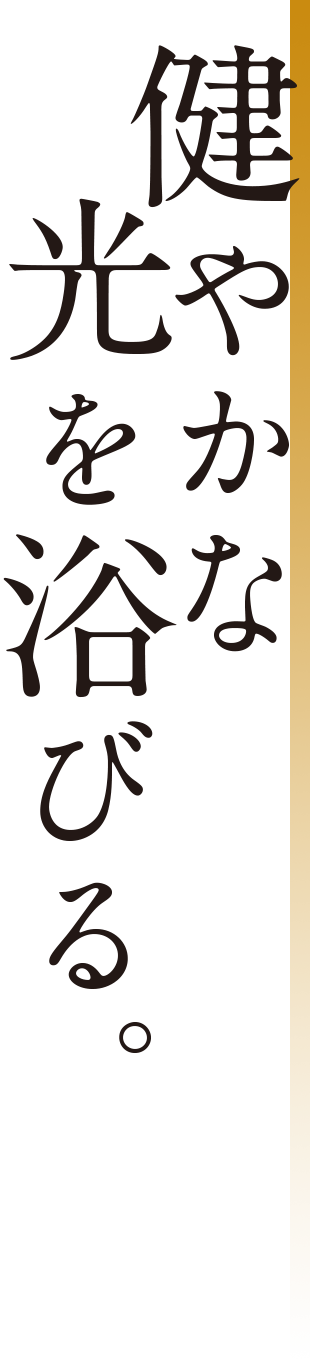 健やかな光を浴びる。